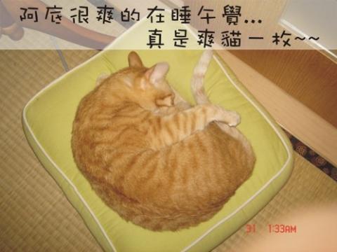 附加檔案: 33_2275.jpg