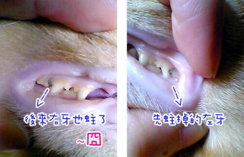 附加檔案: 34_4930.jpg