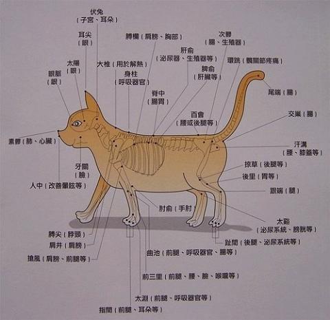 附加檔案: 48feb3bc11ba4.jpg