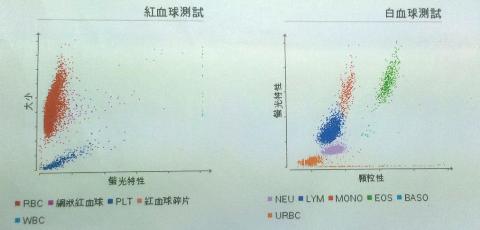 附加檔案: 血檢03.jpg