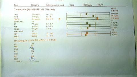 附加檔案: 尿檢01.jpg