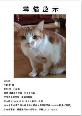 附加檔案: cat.jpg