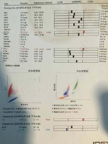 附加檔案: 13211167_1327284000621087_1550547240_o.jpg