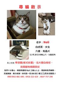 附加檔案: noli尋貓啟示_small.png